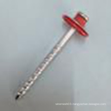 Galvanized Assembled Roofing Nails with Colorful Washer